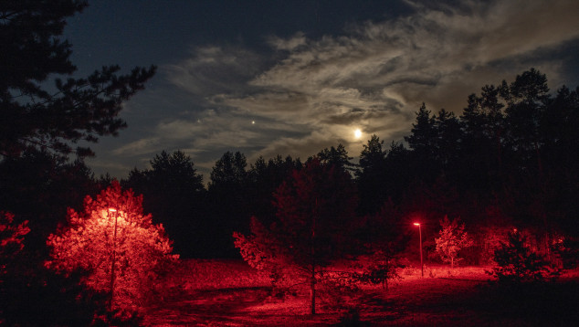 Rood licht