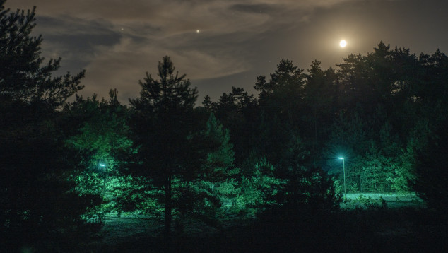 Groen licht
