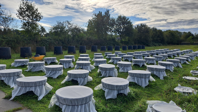 Mesocosms