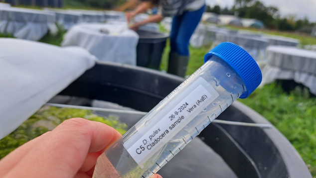 Monsters nemen uit de mesocosms