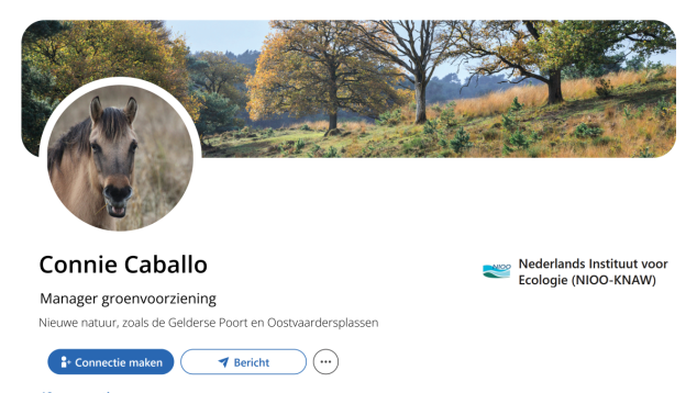 Fictief LinkedInprofiel Connie Caballo