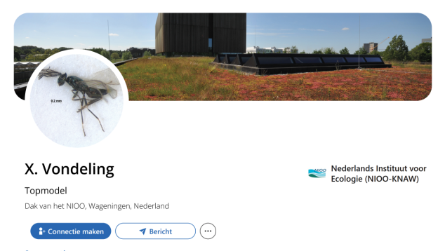 Fictief LinkedInprofiel X. Vondeling