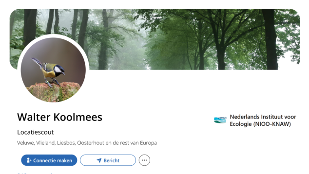 Fictief LinkedInprofiel Walter Koolmees