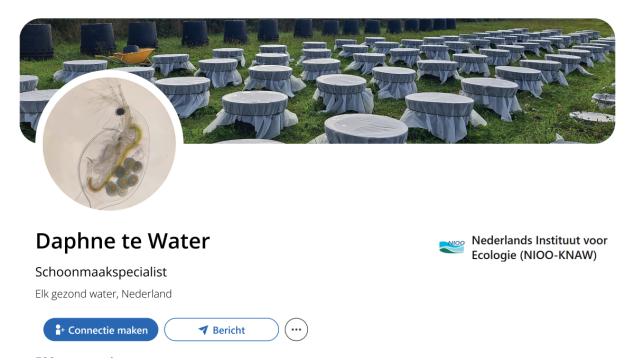 Fictief LinkedInprofiel Daphne te Water
