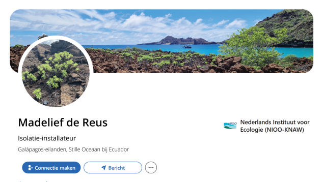 Fictief LinkedInprofiel Madelief de Reus