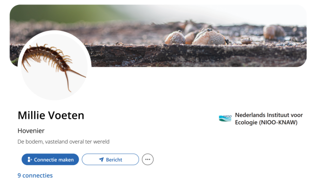 Fictief LinkedInprofiel Millie Voeten