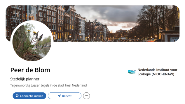 Fictief LinkedInprofiel Peer de Blom