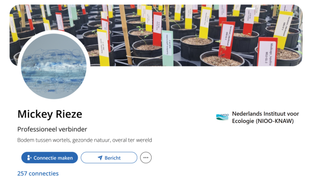 Fictief LinkedInprofiel Mickey Rieze