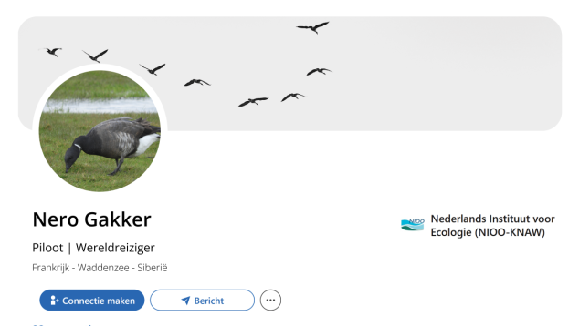 Fictief LinkedInprofiel Nero Gakker