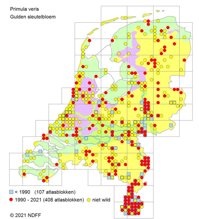 Verspreidingskaart sleutelbloemen
