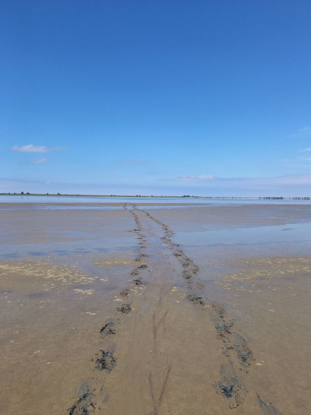 Voetstappen in de modder