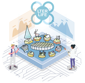 This picture shows how the virtual laboratory is the connection between the physical ecosystem and a digital twin created from that ecosystem. Showcasing with an marine estuary (Waddensea) and a forest (Veluwe) example.