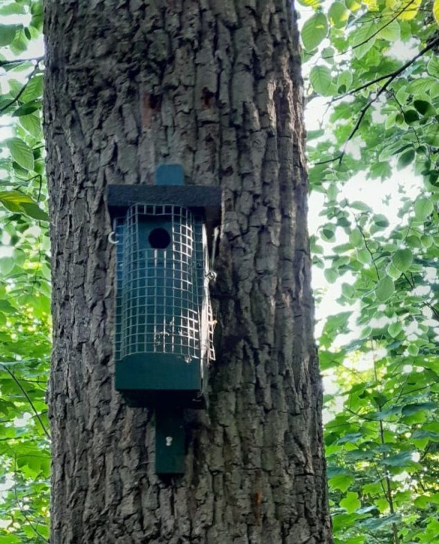 Nestkast