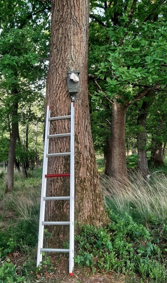 Beleef de lente nestkast