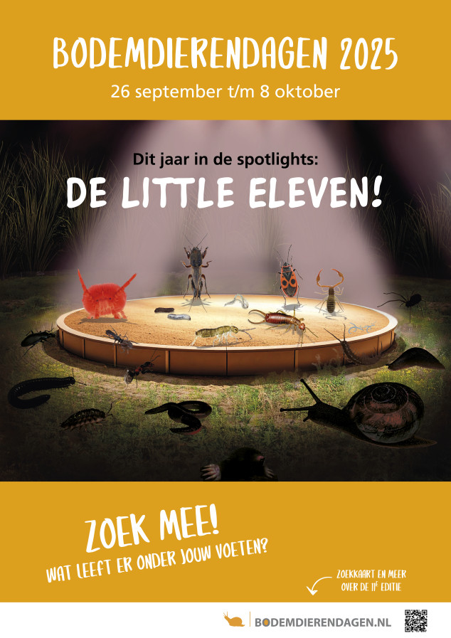Poster Bodemdierendagen 2025