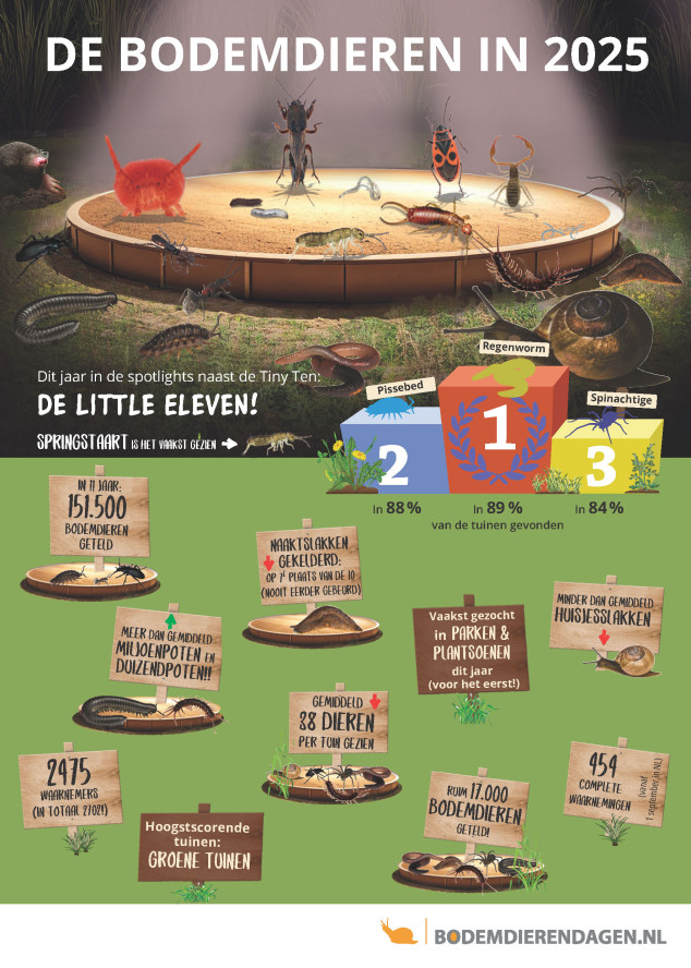 Infographic resultaten Bodemdierendagen 2025