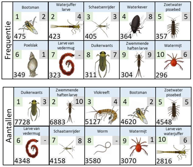 Overzicht waterdiertjes