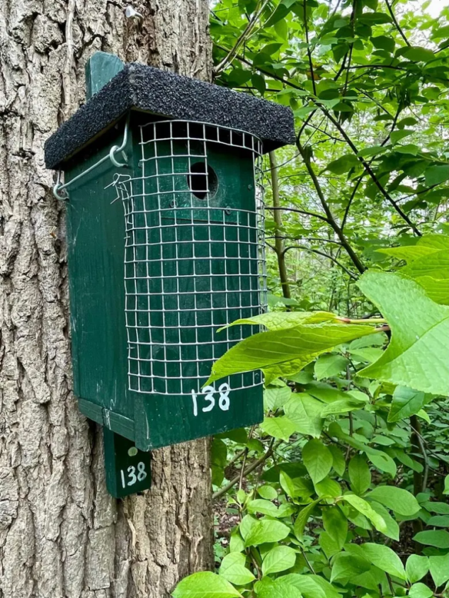 Nestkast 138 close-up