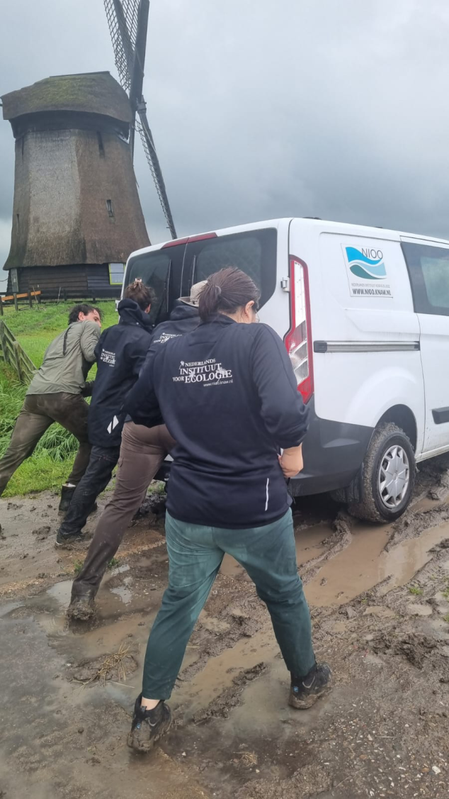 Nothing more like the Netherlands than getting stuck with the fieldwork van in front of a windmill because of unexpected rain, right?