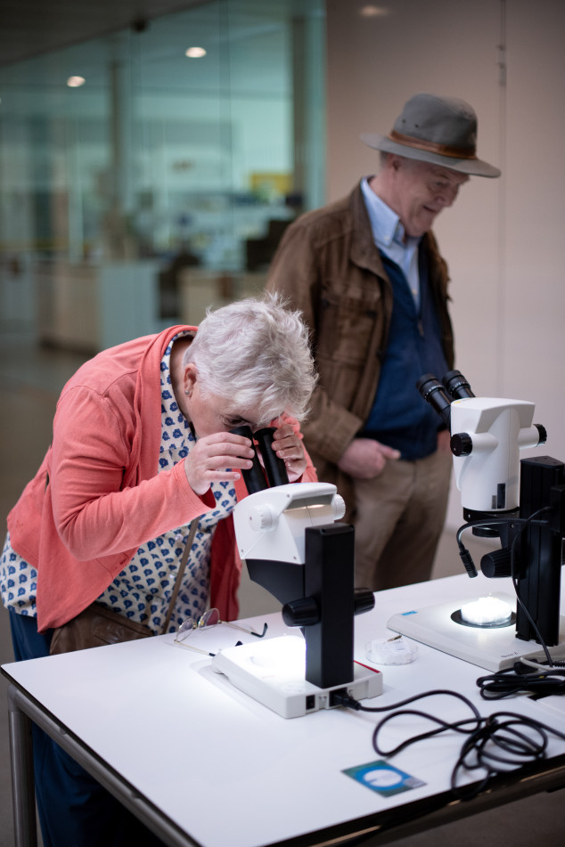 Insectenmemory door de microscoop tijdens de Open Dag