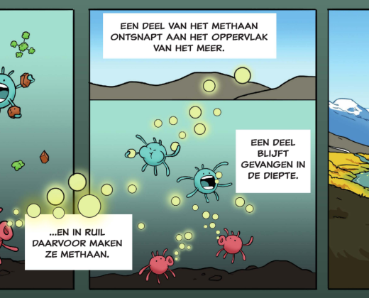 De adem van het meer