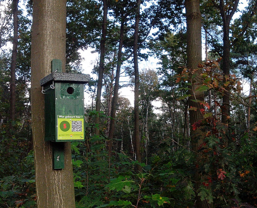 Nestkast aan boom