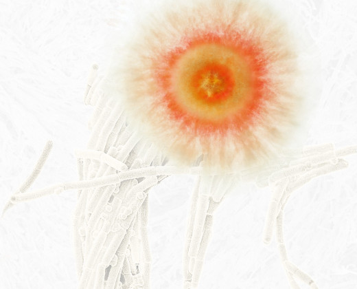 Microben