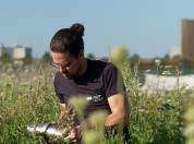 Biodivercity Roof