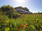 NIOO-KNAW gebouw met grasveld