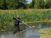 Aquatische Ecologie (vijver 3)