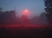 Lantaarnpaal met rood licht