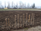 Aanplant tiny forest Lelystad