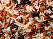 Rice