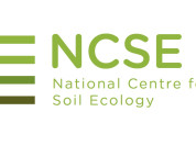 Logo NCSE