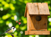 citizen science cafe