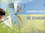 Jaar van de eendagsvlieg
