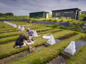 Living Lab Leiden