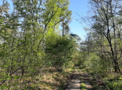 Beleef de lente