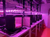 Gas exchange and treatment lab