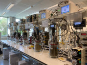 View on the 'Unlock' facility