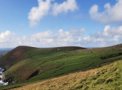 Dursey Island