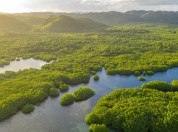 Atlantic forest, Brazil, as seen from above.