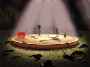 Soil Animal Days 2025: meet the Little Eleven!