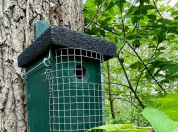 Nestkast 138 close-up