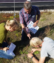 Looking for soil life during the National Soil Animal Days