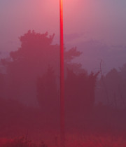 Lantaarnpaal met rood licht