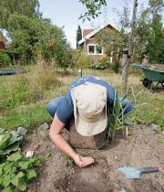 beestjes zoeken in de tuin